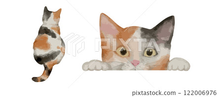 Set of two watercolor calico cats in curious and relaxed poses isolated on white background. Vector illustration Set of two watercolor calico cats in curious and relaxed poses isolated on white background. Vector illustration 122006976