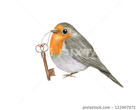 Watercolor sitting red Robin Bird holding vintage bronze key illustration. Spring cute little bird with orange breast and folded wings. Traditional European Erithacus rubecula for Valentine day card 122007072
