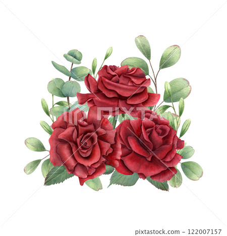 Three red roses, eucalyptus leaves bouquet watercolor illustration. Dark ruby flower in blossom, green leaf branches. For birthday greeting cards, invitation design, wedding concept, memorial day Three red roses, eucalyptus leaves bouquet watercolor illustration. Dark ruby flower in blossom, green leaf branches. For birthday greeting cards, invitation design, wedding concept, memorial day 122007157