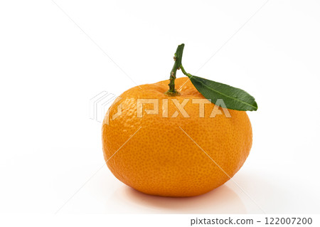 Mandarin oranges with leaves on a white background Mandarin oranges with leaves on a white background 122007200
