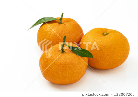 Mandarin oranges with leaves on a white background Mandarin oranges with leaves on a white background 122007203