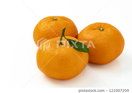 Mandarin oranges with leaves on a white background Mandarin oranges with leaves on a white background 122007209