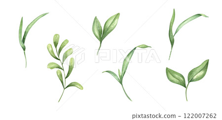 Watercolor green blades of grass plant, branches with leaves set illustration. Meadow wild primrose floral hand painted element clip art for greeting card design, invitation, book decor 122007262