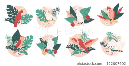 Vector illustration of a set of isolated icons with bright cockatoo parrots and tropical leaves. Vector illustration of a set of isolated icons with bright cockatoo parrots and tropical leaves. 122007602