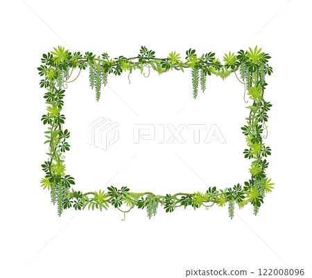 Tropical jungle forest liana frame with green leaves and plants, vector background. Liana vine or ivy leaf frame of tropical creeping jungle tree, rainforest bindweed plant and monstera leaves Tropical jungle forest liana frame with green leaves and plants, vector background. Liana vine or ivy leaf frame of tropical creeping jungle tree, rainforest bindweed plant and monstera leaves 122008096