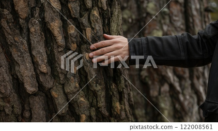 Full arm touch large tree trunk outdoors natural forest eco theme man hand 122008561