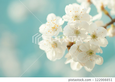 ethereal side portrait of a woman face drifting into cloudy blue haze over white space copyspace concept of mental health therapy spiritual wellness 122008851
