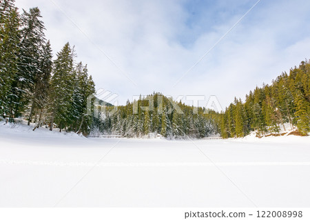 landscape with coniferous forest and frozen lake in mountain. beautiful view. sunny weather. nature scenery of synevyr national park in winter. alpine environment landscape with coniferous forest and frozen lake in mountain. beautiful view. sunny weather. nature scenery of synevyr national park in winter. alpine environment 122008998