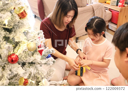 Decoration Christmas Tree 122009372