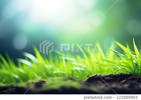 grass, background, green 122009903