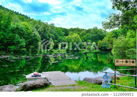 大自然美麗的北海道富良野市鳥沼公園 綠色的沼澤風景 122009951