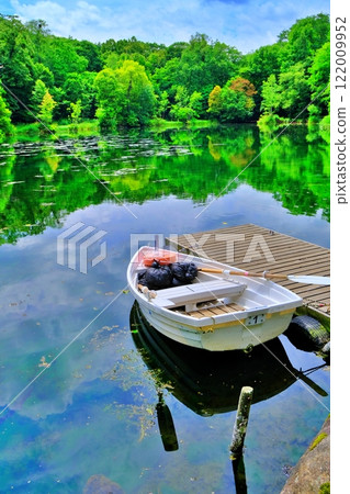 The beautiful green swamp scenery of Torinuma Park in Furano, Hokkaido The beautiful green swamp scenery of Torinuma Park in Furano, Hokkaido 122009952