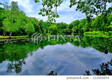 The beautiful green swamp scenery of Torinuma Park in Furano, Hokkaido The beautiful green swamp scenery of Torinuma Park in Furano, Hokkaido 122009954