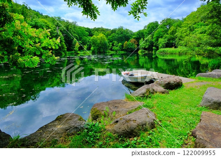 The beautiful green swamp scenery of Torinuma Park in Furano, Hokkaido 122009955