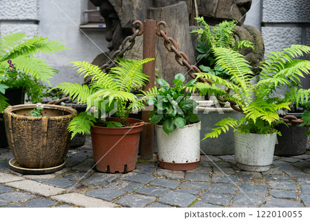 Design of a modern garden. Walkways made of wood-plastic composite boards. A border made of natural stone and flower pots. Gardening and decoration of backyard. 122010055