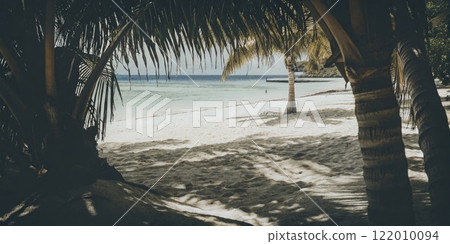 Tranquil Tropical Beach Framed by Palm Trees with Clear Blue Waters 122010094