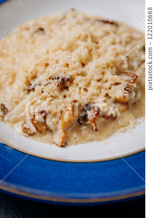 Creamy porcini mushroom risotto served on a blue plate with parmesan garnish Creamy porcini mushroom risotto served on a blue plate with parmesan garnish 122010668