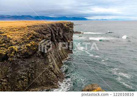 Cliffs on the coast of Arnarstapi on the island of Iceland 122010810
