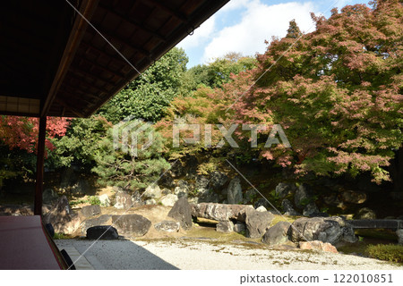 圓德院北庭開始變色(京都市東山區) 圓德院北庭開始變色(京都市東山區) 122010851