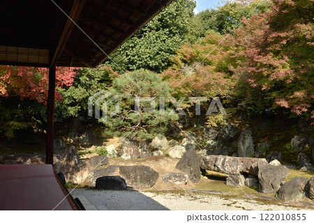 圓德院北庭開始變色(京都市東山區) 圓德院北庭開始變色(京都市東山區) 122010855