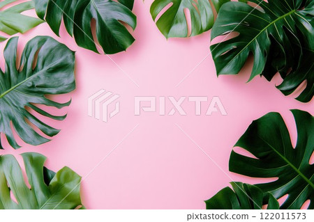 Green leaves monstera on a pink background for a summer concept. Flat lay, top view, copy space, banner style. 122011573