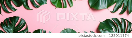 Green leaves monstera on a pink background for a summer concept. Flat lay, top view, copy space, banner style. 122011574