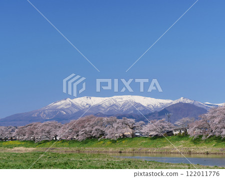 Hitome Senbonzakura and the Zao mountain range (Okawara Town, Shibata District, Miyagi Prefecture) Hitome Senbonzakura and the Zao mountain range (Okawara Town, Shibata District, Miyagi Prefecture) 122011776