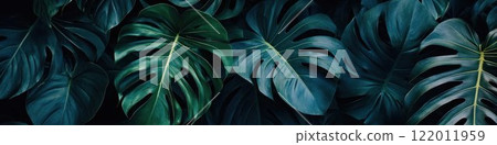 Dark background with exotic leaves, creating a lush and mysterious ambiance. 122011959