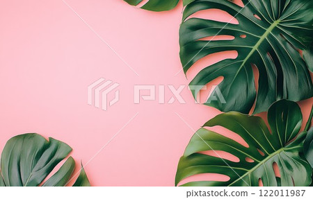 Green leaves monstera on a pink background for a summer concept. Flat lay, top view, copy space, banner style. 122011987