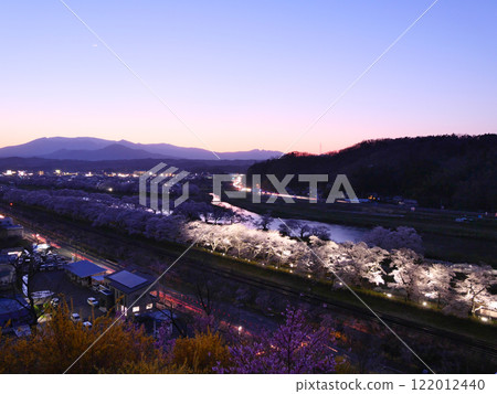 Shiroishi River Bank Hitome Senbonzakura (Ogawara Town, Shibata District, Miyagi Prefecture) 122012440