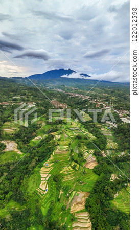 Aerial view of a lush green forest with dense trees and vegetation Aerial view of a lush green forest with dense trees and vegetation 122012598