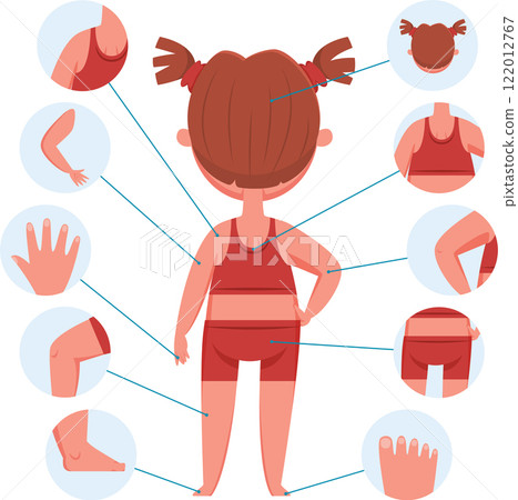 Educational infographic showing body parts of a preschool age girl from the back, with zoomed details of head, shoulders, arms, elbows, hands, knees, legs, feet, back and belly Educational infographic showing body parts of a preschool age girl from the back, with zoomed details of head, shoulders, arms, elbows, hands, knees, legs, feet, back and belly 122012767