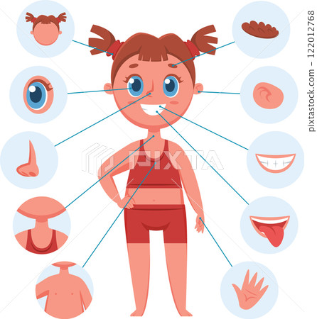 Educational infographic illustration with smiling cartoon girl character pointing different body parts for children learning, preschool, anatomy and biology studying 122012768
