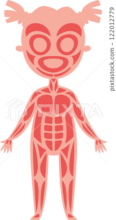 Simple and cute cartoon style illustration representing muscular system of a girl, useful for children's education or medical publications explaining human anatomy 122012779