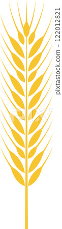 Yellow wheat ear symbolizing the essence of harvest and agriculture, representing healthy eating and organic food production against a clean white background Yellow wheat ear symbolizing the essence of harvest and agriculture, representing healthy eating and organic food production against a clean white background 122012821