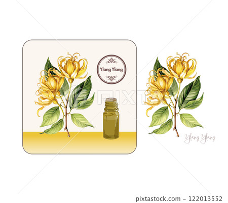 依蘭依蘭插圖,香氣,精油,一瓶精油 依蘭依蘭插圖,香氣,精油,一瓶精油 122013552