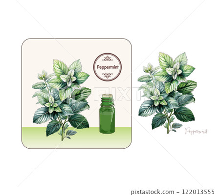 薄荷插畫、精油和香氣 122013555