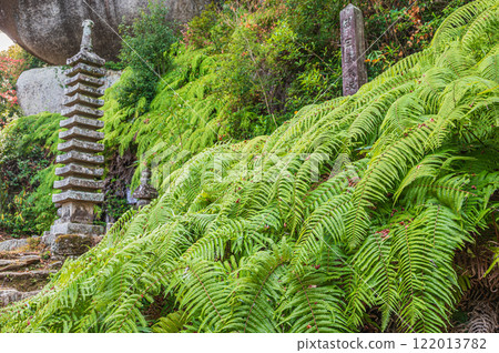 京都府笠置町笠置寺院內十三層塔 122013782