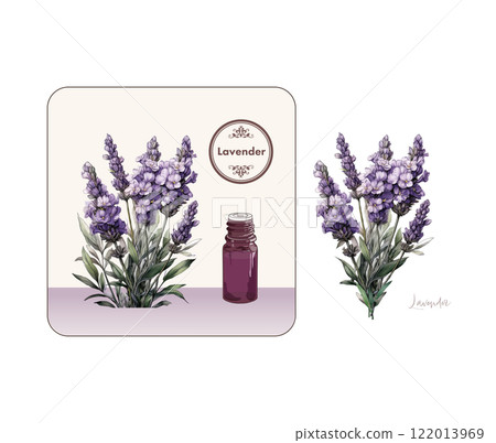 Lavender illustration, essential oil bottle, aroma, essential oil 122013969