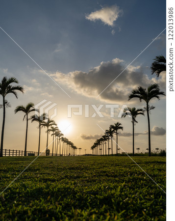 Palm Tree Road in Toyosaki, Tomigusuku City, Okinawa Prefecture 122013986