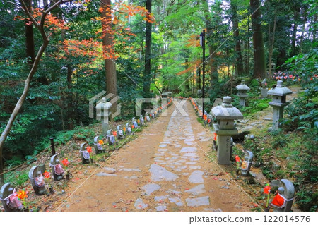 秋天的金剛林寺（滋賀縣愛莊町引道） 122014576
