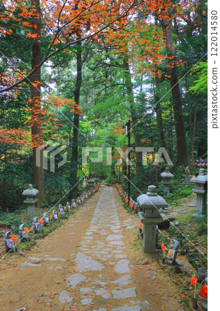 Kongorinji Temple in autumn (approach to the temple, Aisho Town, Shiga Prefecture, vertical composition) 122014580
