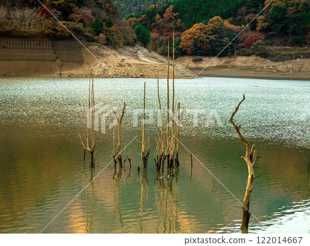 Autumn leaves reflected in the dam lake Autumn leaves reflected in the dam lake 122014667