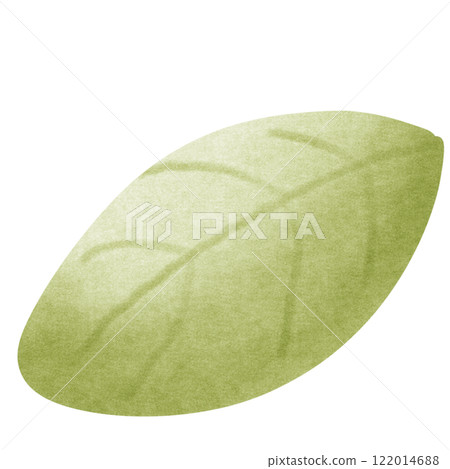 Green leaves Green leaves 122014688