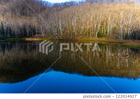 池塘在高原 122014927