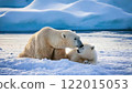 北極熊的父母和孩子 122015053