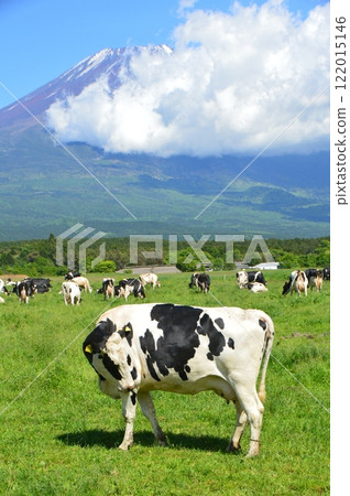 高原山/富士山的農場(早上鄰里/靜岡縣富士宮市) 高原山/富士山的農場(早上鄰里/靜岡縣富士宮市) 122015146