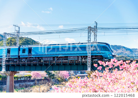 河津櫻花、藍寶石舞子、東京⇔伊豆急下田 河津櫻花、藍寶石舞子、東京⇔伊豆急下田 122015468