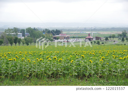 北海道北龍町向日葵村 北海道北龍町向日葵村 122015537