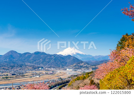 Mount Fuji, Kawazu cherry blossoms and Mount Matsuda 122015800